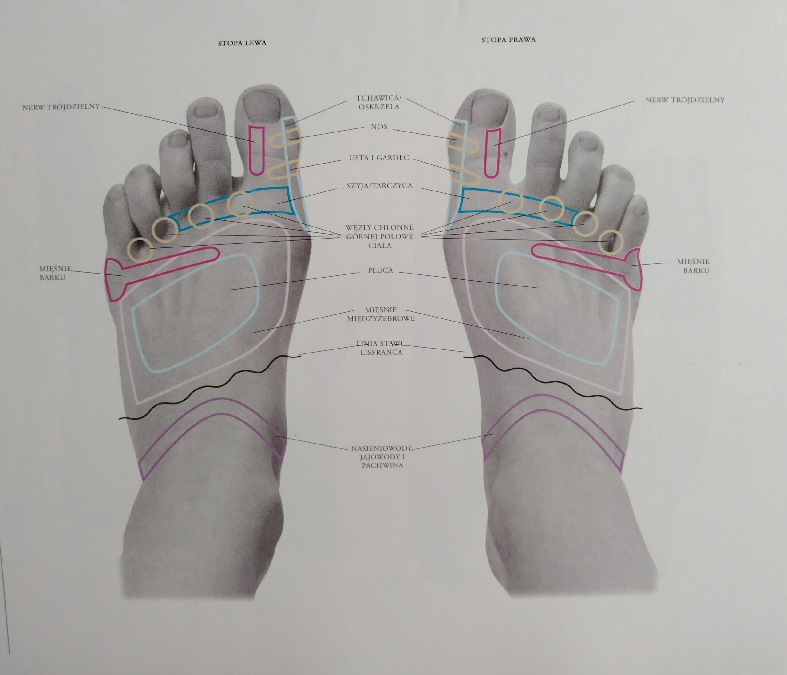 refleksologia stóp wierzch stopy