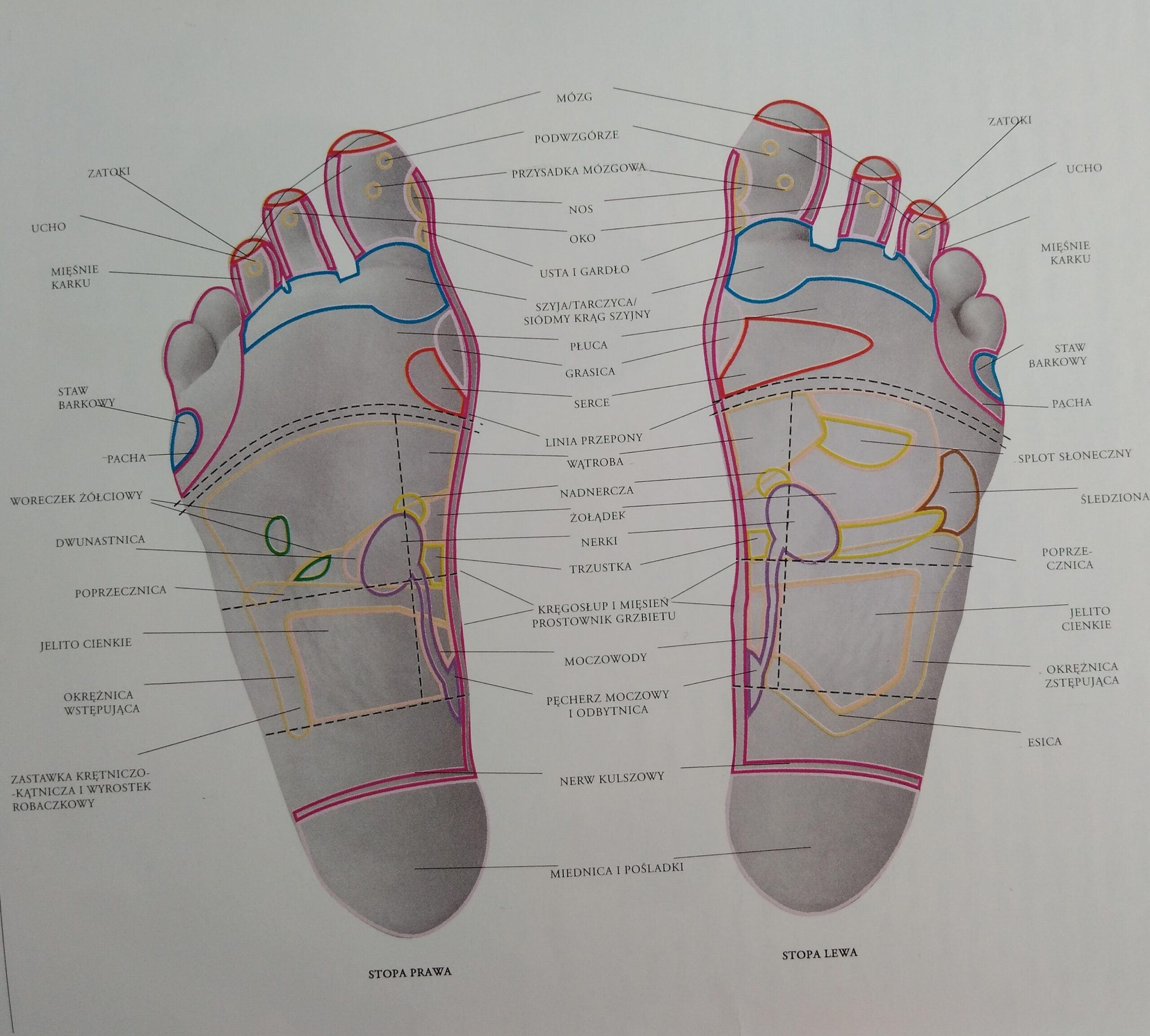 refleksologia stóp spód stopy